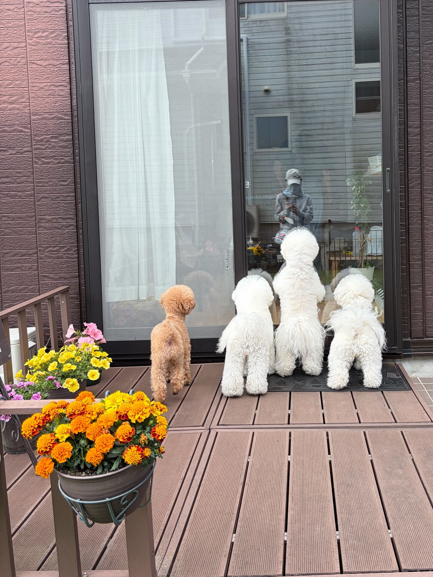 ララちゃんいますか？入れてください