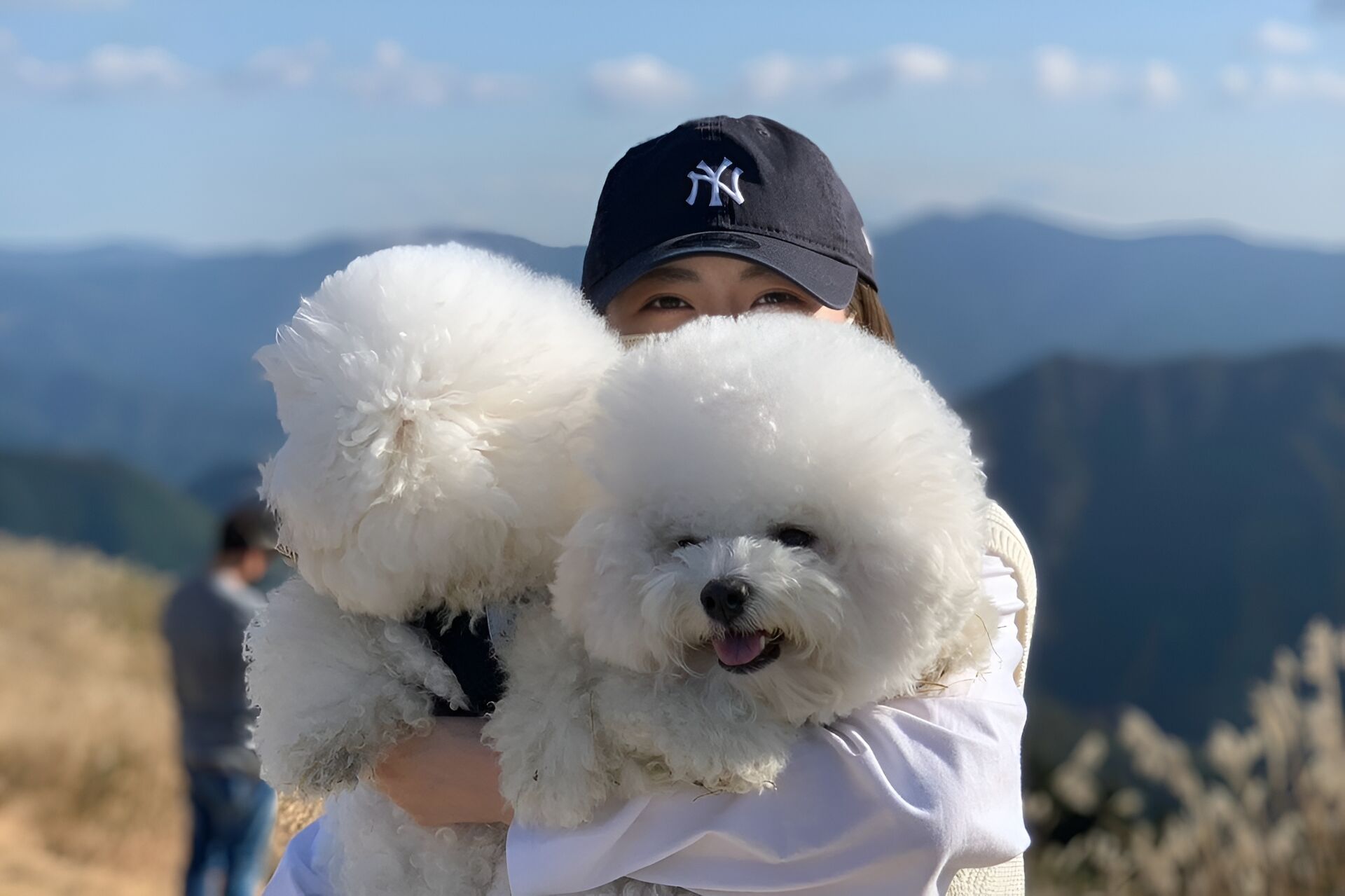 見学